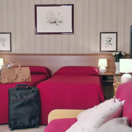 فندق Ulivi E Palme 3*