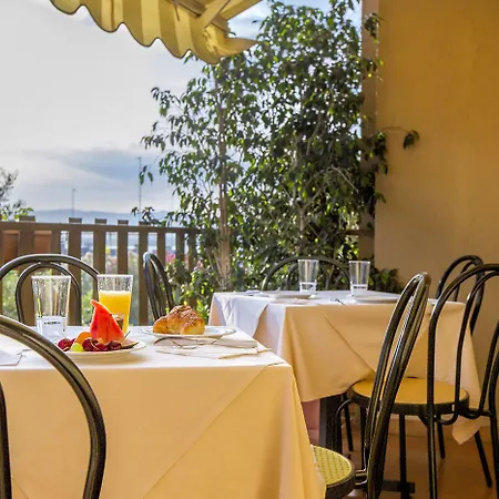 Ulivi E Palme فندق