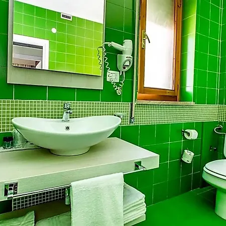 Hotel Ulivi E Palme 3*